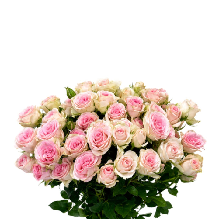 Bouquet of 10 spray roses from Vegpro Kenya, vibrant garden flowers perfect for home decor and brightening your space