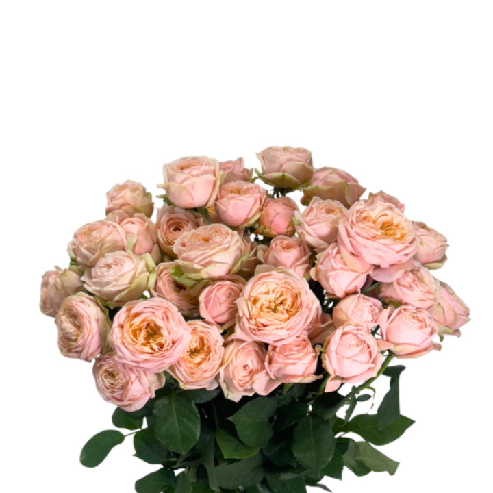 Bouquet of 10 spray roses from Lady Ella Garden by Vegpro Kenya, fresh and vibrant, arranged in a natural display.