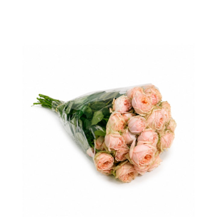 Spray roses in a garden setting, Lady Ella variety, 10 stems of fresh, vibrant flowers from Vegpro Kenya.