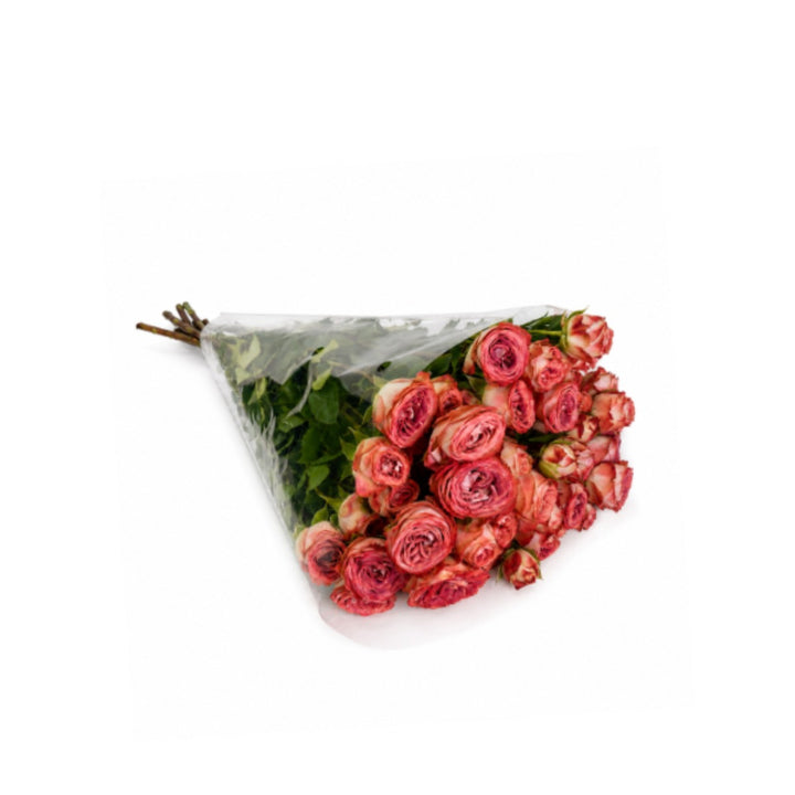 Bouquet of 10 Spray Roses from Vegpro Kenya in a garden setting, showcasing vibrant blooms and lush green stems.