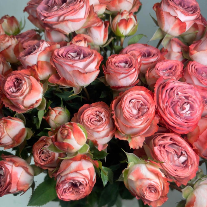 Bouquet of 10 spray roses from Vegpro Kenya in a garden setting, showcasing vibrant blooms on long stems.