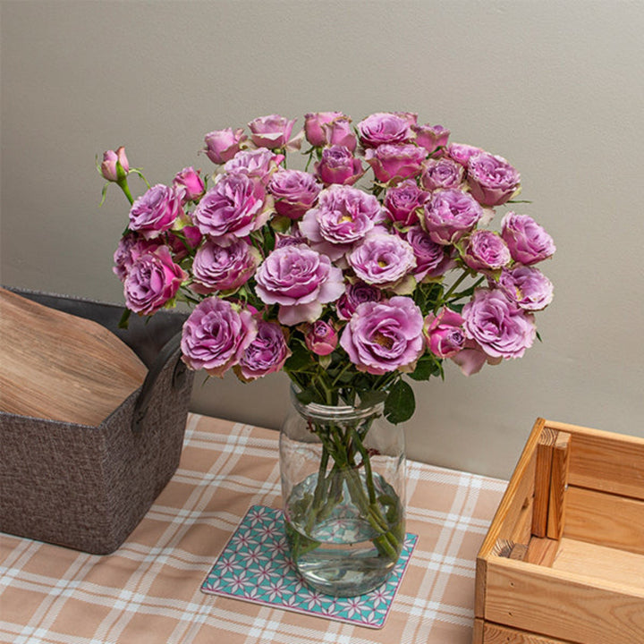 Purple spray roses from Vegpro Kenya, garden-grown flowers with 10 stems, showcasing vibrant purple blooms.
