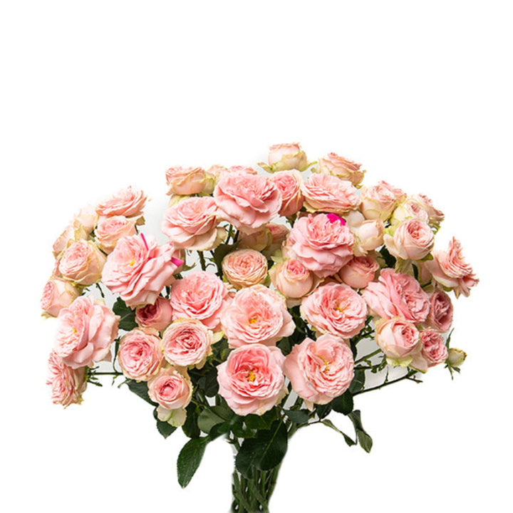 Bouquet of 10 Spray Roses, Garden Sweet Giselle flowers by Vegpro Kenya, showcasing vibrant blooms on green stems.