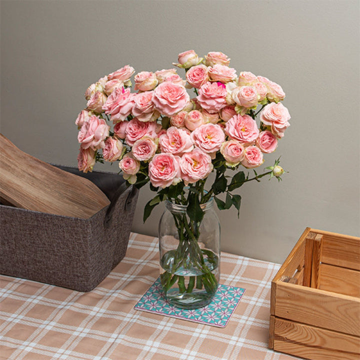 Spray roses in pink and white, Garden Sweet Giselle variety, arranged in a bouquet with 10 stems from Vegpro Kenya.