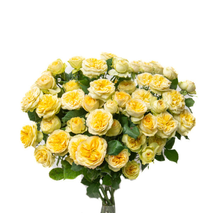 Bouquet of 10 spray roses from Vegpro Kenya, garden-grown flowers perfect for floral arrangements and decorative displays.