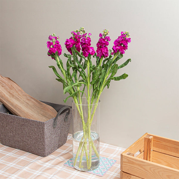 Pink Matthiola flower stems with rose pink blooms, arranged in a bouquet, from Black Tulip.