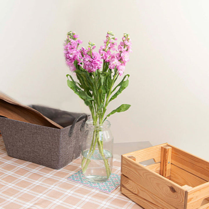 Light pink Matthiola flower stems from Black Tulip, showcasing delicate blossoms and green foliage on a neutral background.