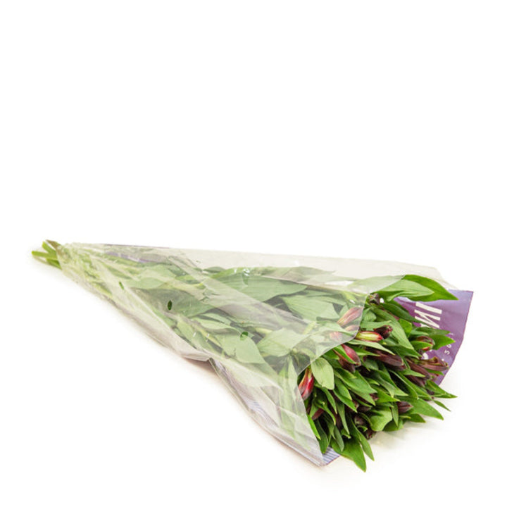 Red Alstroemeria flowers in a bouquet with 10 stems, displayed by SQ Flora Kenya, vibrant and fresh flower arrangement.