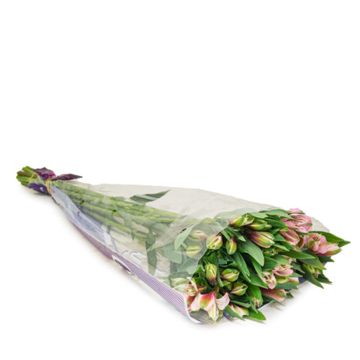 Pink Alstroemeria flowers from SQ Flora Kenya, showing 10 fresh stems with vibrant blooms and green foliage.