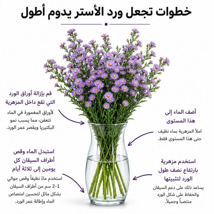 Light purple Aster flower stems from SQ Flora Kenya, showcasing ten fresh, vibrant blooms on green stems.