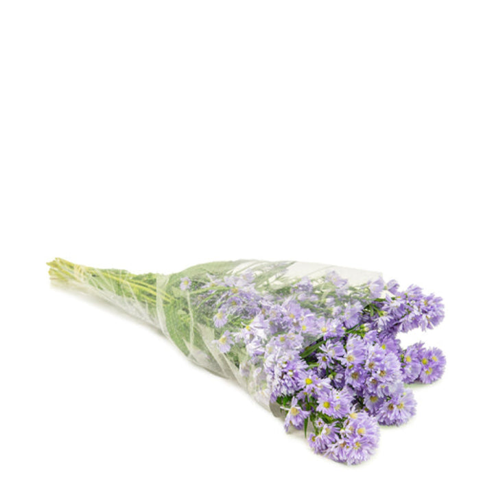 Black Tulip Aster Cassandra flower stems, showing vibrant purple blooms and green foliage, arranged in a natural bouquet style.