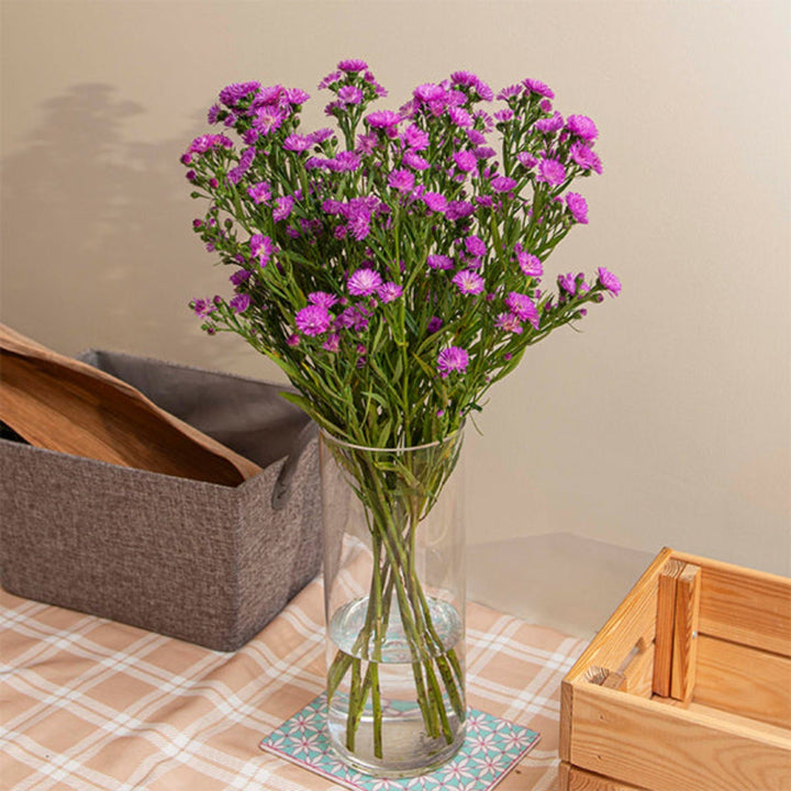 Light purple Aster flowers from Black Tulip with 10 stems, showcasing vibrant blooms and lush green foliage.