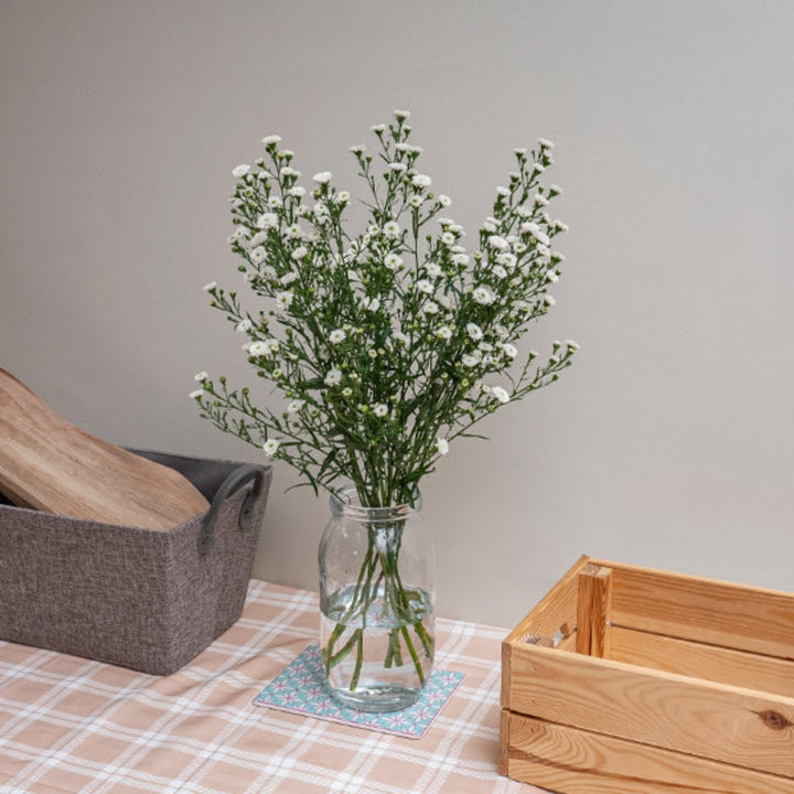 White Aster flower stems from Black Tulip, showing 10 fresh, vibrant blooms arranged together in a natural display