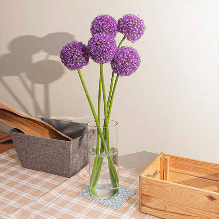 Fresh Flower Holland Allium Giganteum flower stems, large purple blooms on tall stems, natural floral display for arrangements