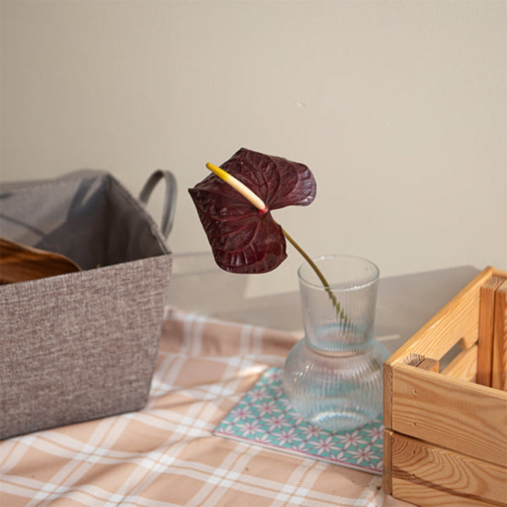 Single stem of Maravilla Black Anthurium flower by Fresh Flower Holland, showcasing glossy black spathe and vibrant spadix.