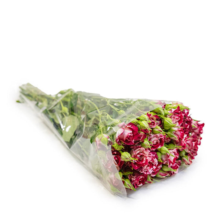 Baby Rose Twinkle Blossoms flower stems by SQ Flora Kenya, showing delicate pink blooms on 10 floral stems.