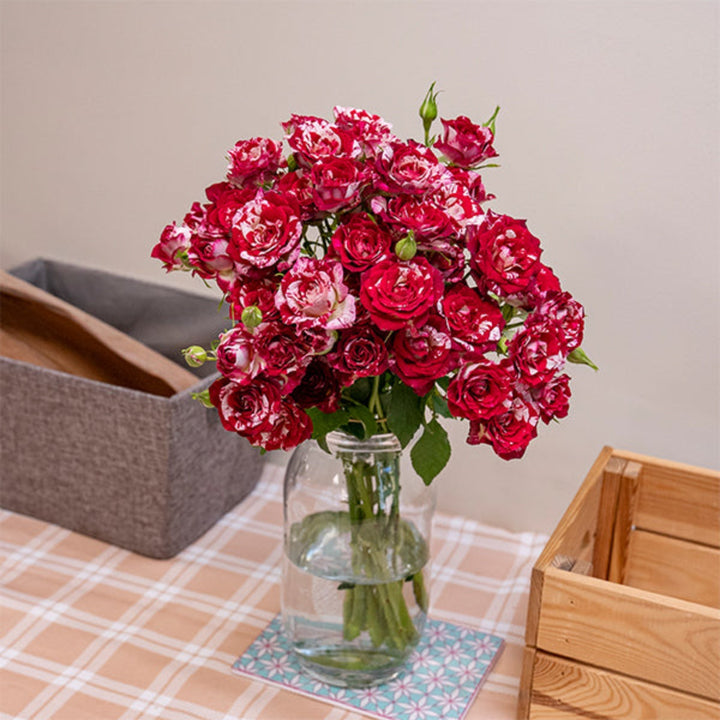 Baby Rose Twinkle Blossoms flower bouquet with 10 stems from SQ Flora Kenya, showcasing delicate pink blooms and lush green foliage.