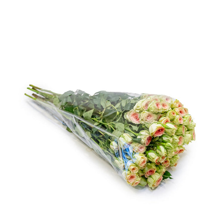 Baby roses flower stems from SQ Flora Kenya, showing 10 fresh pink blooms with green foliage on a neutral background.