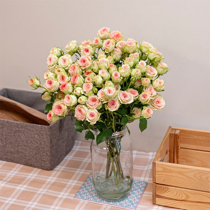 Baby roses flower stems from SQ Flora Kenya, showcasing 10 delicate pink blooms arranged together.