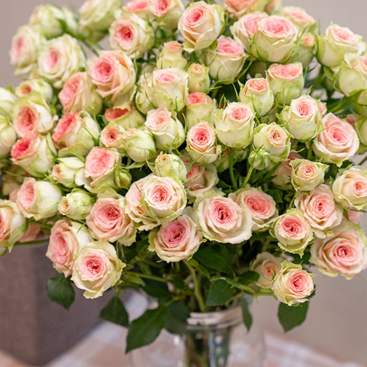 Bouquet of 10 Baby Roses from Paparazzi by SQ Flora Kenya, fresh flower stems with delicate pink blooms.