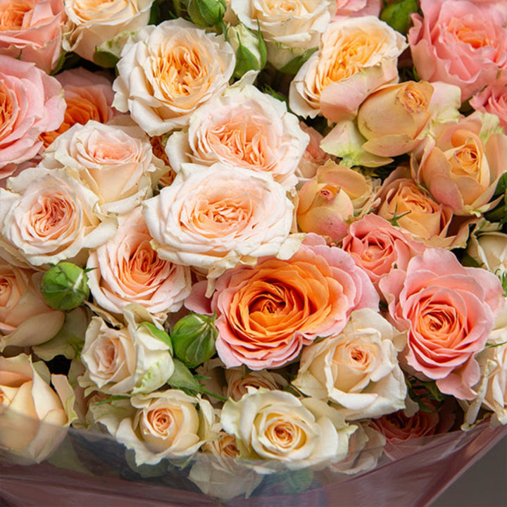 Luxury peach baby roses bouquet with 30 stems from Mix Flower Bouquet, featuring soft, delicate blooms in a lush floral arrangement.