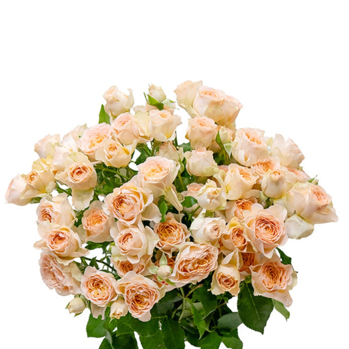 Bouquet of 10 baby roses from Sancerre by SQ Flora Kenya, showing delicate pink blooms with fresh green stems.