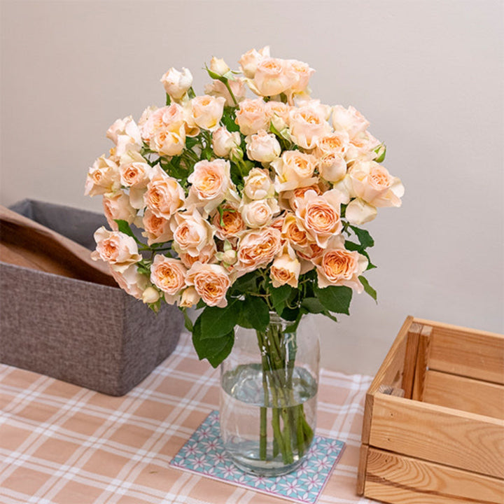 Baby roses flower from SQ Flora Kenya, 10 stems of delicate pink blossoms arranged in a bouquet.
