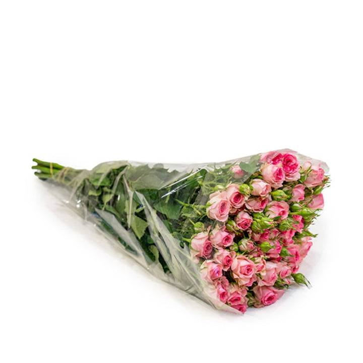Bouquet of 10 Baby Roses from Tra-La-La by SQ Flora Kenya, showcasing delicate pink blooms in a natural floral arrangement.