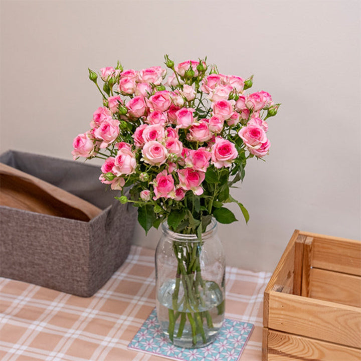 Bouquet of 10 Baby Roses from Tra-La-La by SQ Flora Kenya, showcasing delicate pink flower stems.
