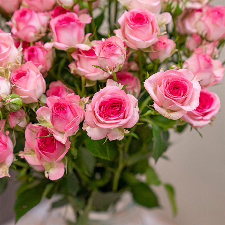 Baby roses flowers from SQ Flora Kenya, 10 stems of delicate pink blooms arranged in a natural bouquet.