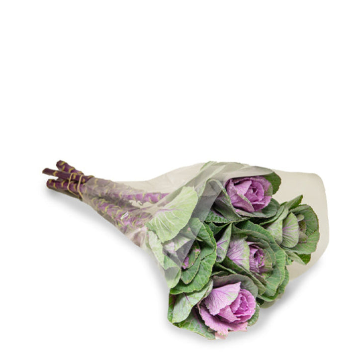 Red Brassica Oleracea flower stems from Fresh Flower Holland, showing vibrant red blooms and green foliage in a natural arrangement.