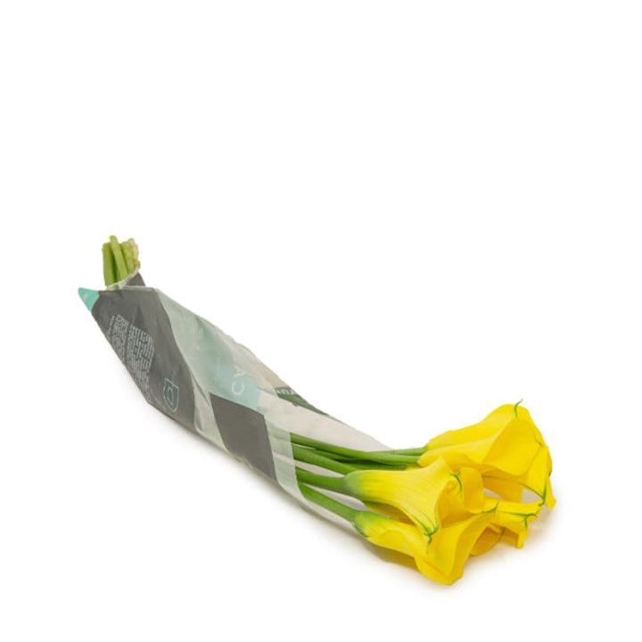 Fresh Calla baby flower stems, Zantedeschia Gold Medal variety, with 10 elegant blooms from Fresh Flower Holland.