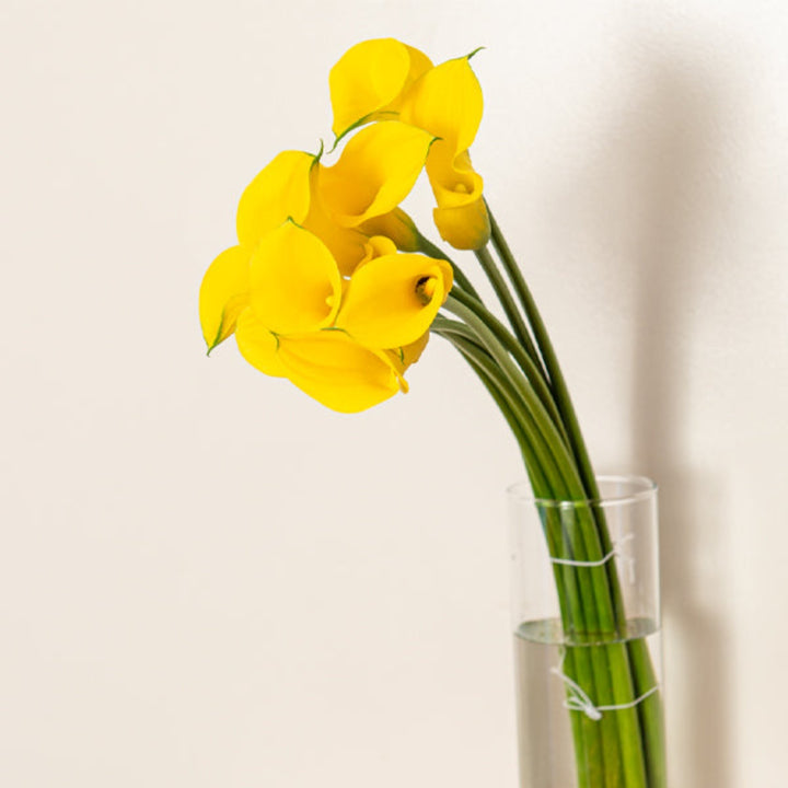 Fresh Calla Baby Zantedeschia Gold Medal flowers, 10 stems, vibrant yellow blooms from Fresh Flower Holland.