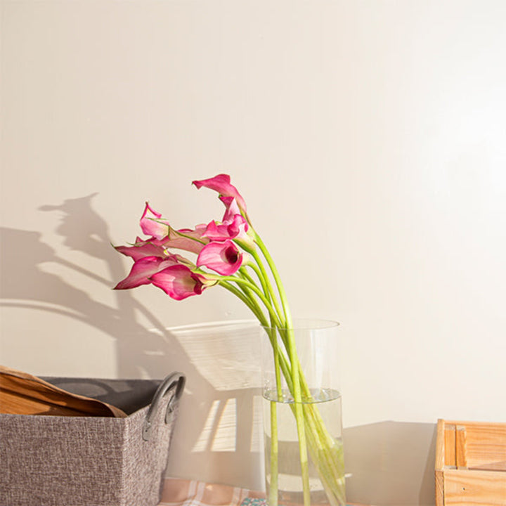 Pink Calla Zantedeschia flower stems from Fresh Flower Holland, showing vibrant pink blooms and green foliage.