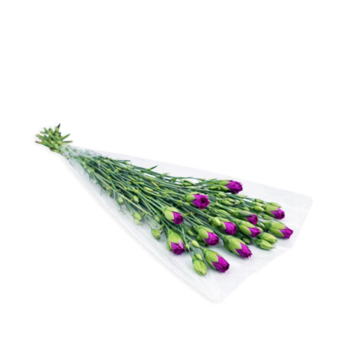 Purple Carnation baby flowers from Black Tulip, 10 stems arranged with lush green leaves.