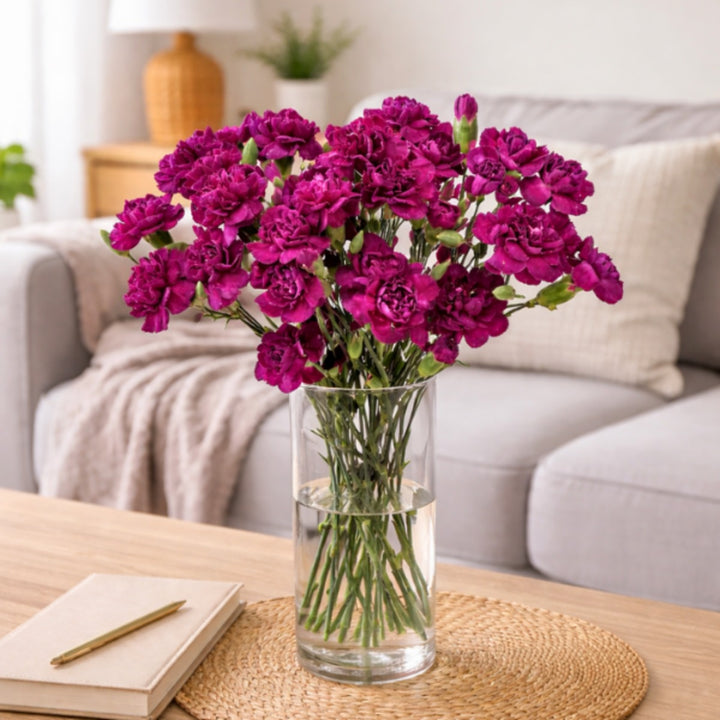 Purple Carnation baby flowers from Black Tulip with 10 stems, showcasing fresh, vibrant purple blossoms arranged together.