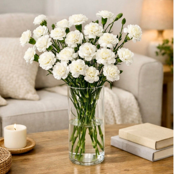 White Carnation flowers from SQ Flora Kenya, 10 stems, fresh and vibrant, arranged in a natural bouquet.