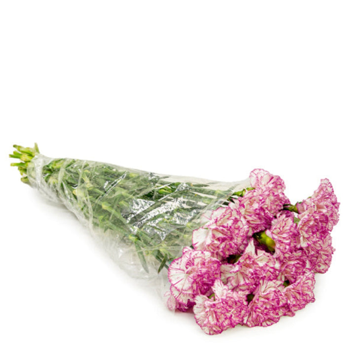 Bouquet of 19 vibrant Damascus Bio Color carnations from SQ Flora Kenya, arranged in a natural floral display.