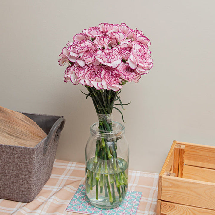 Bouquet of 19 Bio Color carnations from Damascus by SQ Flora Kenya, showcasing vibrant, fresh flower stems.