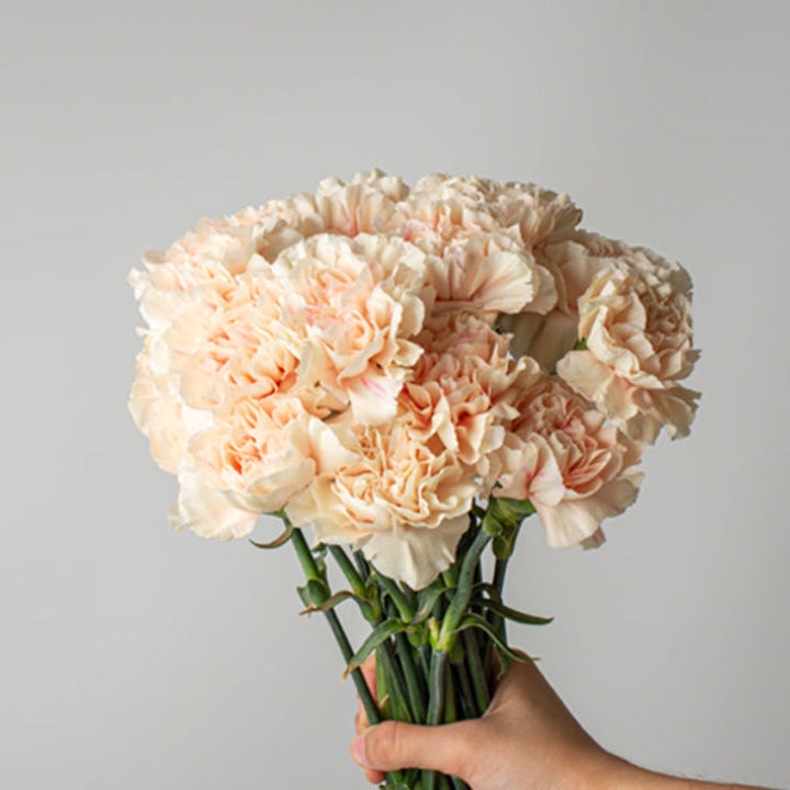 Bouquet of 19 carnations with apple tea and peach accents from SQ Flora Kenya, arranged in a colorful floral display.