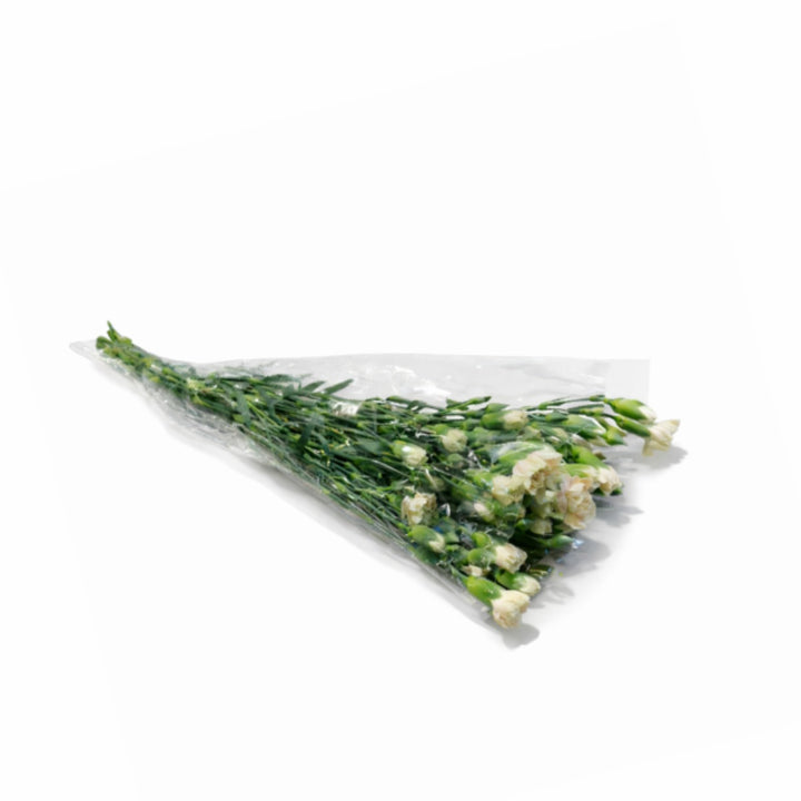 Bouquet of 10 Carnations Baby Lucia flowers by SQ Flora Kenya, showcasing vibrant pink blossoms arranged in a natural display.