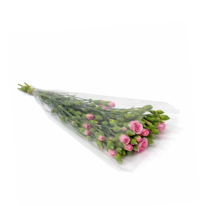 Pink Carnations baby flowers from SQ Flora Kenya, 10 stems, showcasing fresh, delicate pink blossoms on green stems.