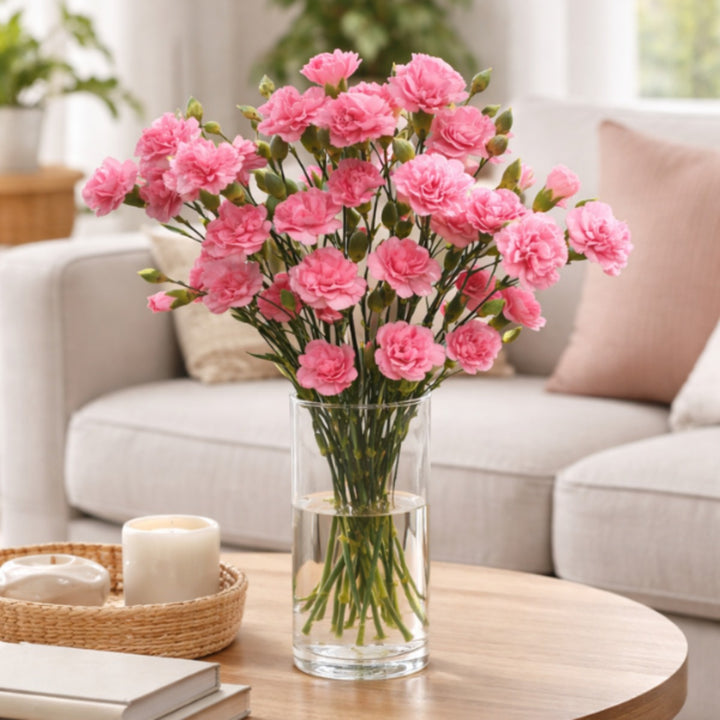 Pink carnations baby flowers with 10 stems from SQ Flora Kenya, fresh, vibrant, arranged in a bouquet.