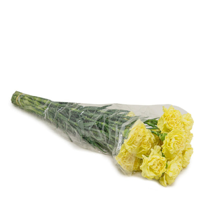 Yellow Carnations Diletta flowers from SQ Flora Kenya, 19 stems arranged tightly in a bouquet.