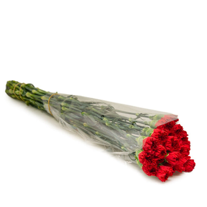 Red Carnations Don Pedro from SQ Flora Kenya with 19 stems, vibrant flowers arranged in a bouquet.