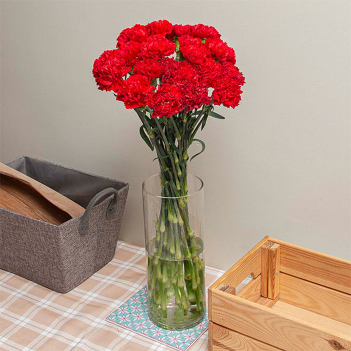 Red Carnations Don Pedro by SQ Flora Kenya, 19 stems of vibrant red flowers arranged in a bouquet.