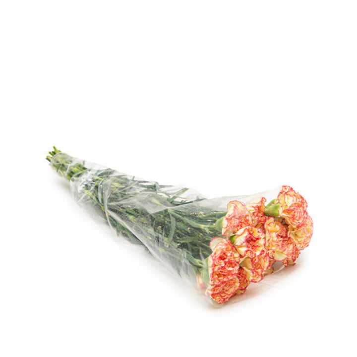 Bouquet of 19 vibrant Carnations Lorca flowers from SQ Flora Kenya, shown in a natural arrangement.