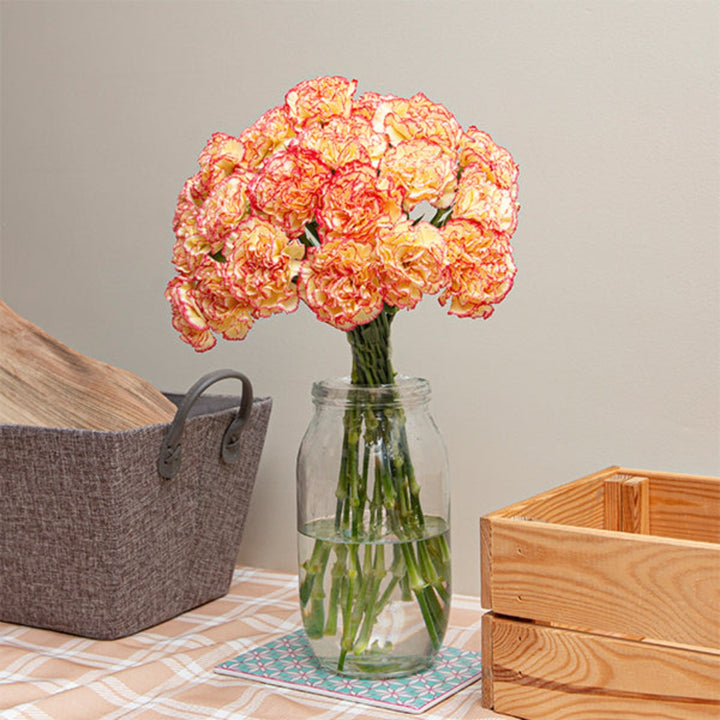 Bouquet of 19 pink carnations from SQ Flora Kenya, showcasing vibrant flower stems arranged beautifully.