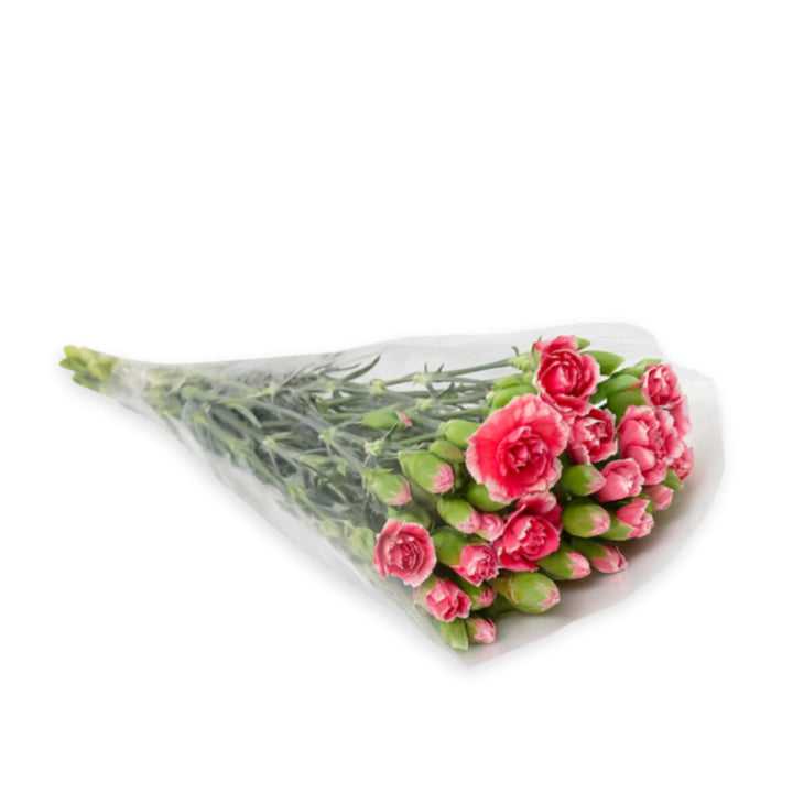 Bright red Baby Cosmo Cherry carnations from SQ Flora Kenya arranged in a bouquet, 10 stems of vibrant, fresh flowers.