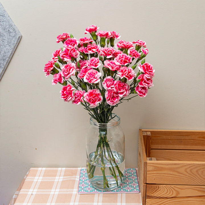 Bouquet of 10 baby cosmo cherry carnations by SQ Flora Kenya, fresh colorful flower stems for arrangements.